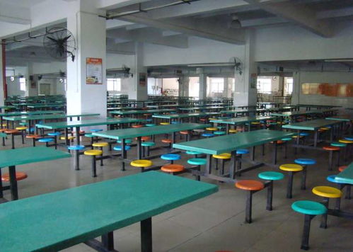 工厂食堂 暖心易得，暖胃难求——中餐类制售的困境与出路